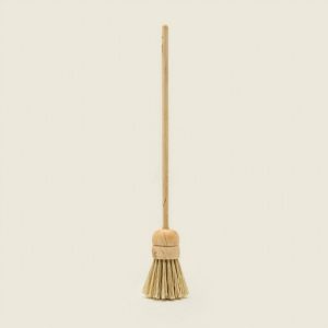 Dish brush with beech handle