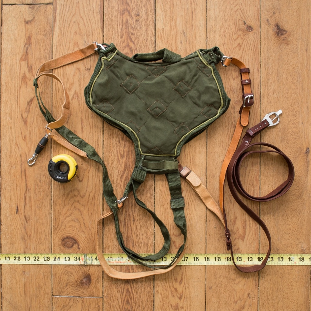 How to fit a dog collar and harness