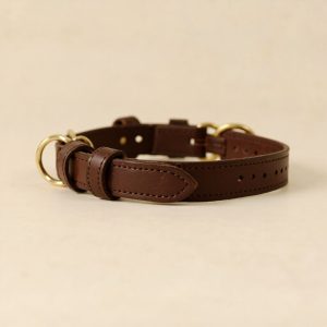 Leather dog collar