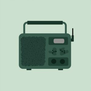 Portable digital radio